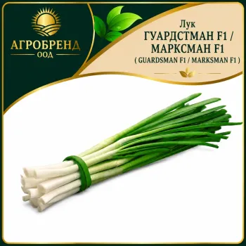 Лук Гуардстман F1/ Марксман F1 ( Guardsman F1/Marksman F1 ) за зелено