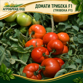 Домати Трибека F1 | Tribeka F1 |