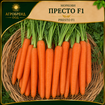 Моркови Престо F1 ( Presto F1 )