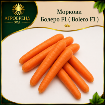 Моркови Болеро F1 ( Bolero F1 )