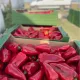 Пипер Навигатор F1 ( Navigator F1 )