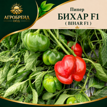Пипер Бихар F1 ( Bihar F1 )
