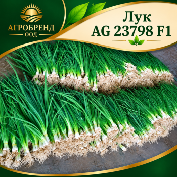 Лук AG 23798 F1