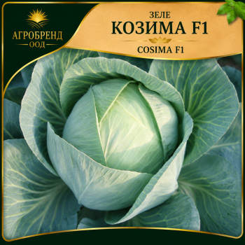 Семена за Зеле Козима F1 ( Cosima F1 )