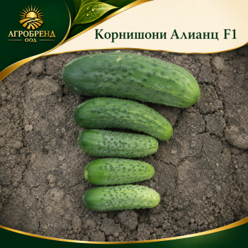 Корнишони Алианц F1 ( Alianz F1 )