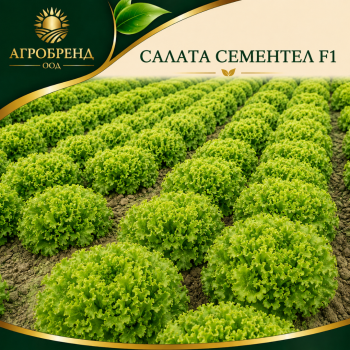 Салата Сементел / Sementel /