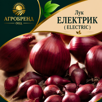 Лук Електрик ( Electric )