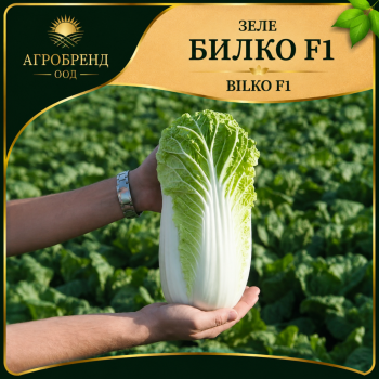 Зеле Билко F1 ( Bilko F1 )