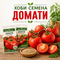 ДОМАТИ