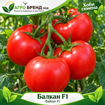 Домати Балкан F1 | Balkan F1 |