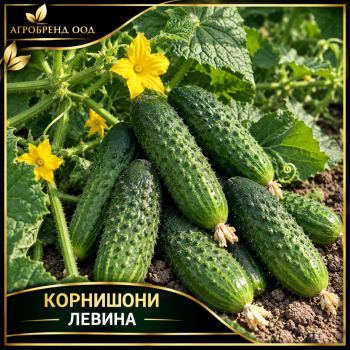 Корнишони Левина