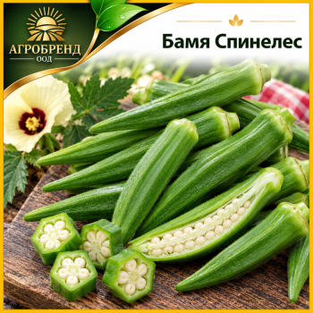 Бамя Спинелес