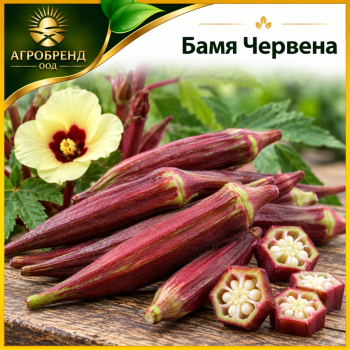 Бамя Червена