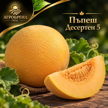 Пъпеши Десертен 5