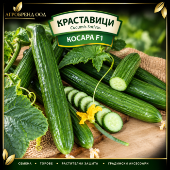 Краставици Косара F1