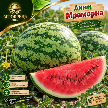 Дини Мраморна
