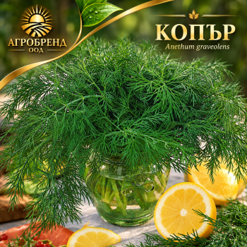 Копър
