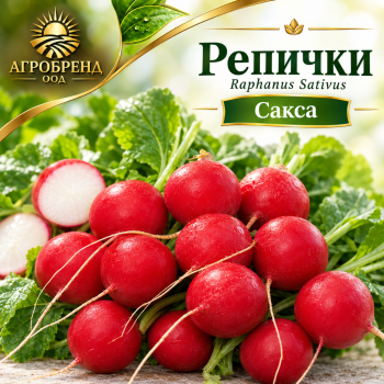 Репички Сакса