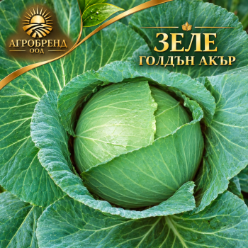 Зеле Голдън акър