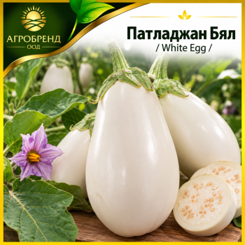 Патладжан Бял /White egg/