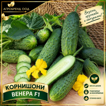 Корнишони Венера F1