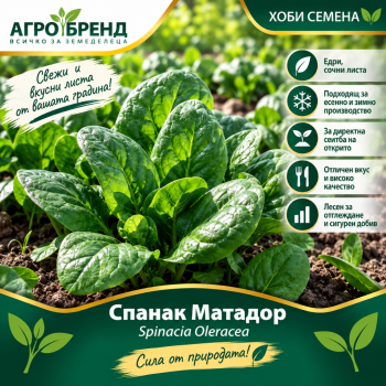 Спанак Матадор-Хоби семена