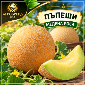 Пъпеши Медена роса