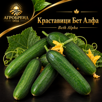 Краставици Бет алфа |Beth Alpha |