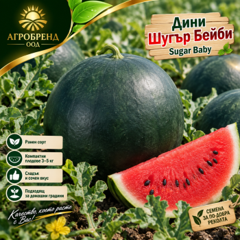 Дини Шугър бейби