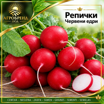Репички Червени едри