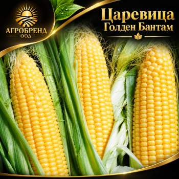 Царевица Голден Бантам |Golden Bantam |