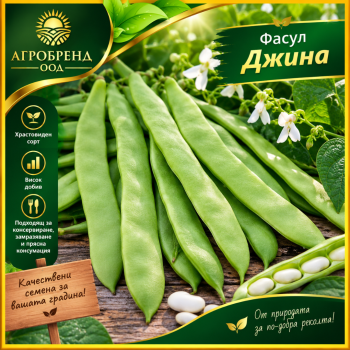 Фасул Джина | Gina | Фасул Джина | Gina |