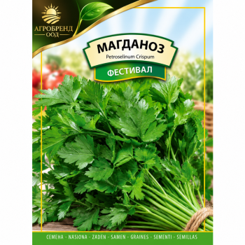 Магданоз Фестивал