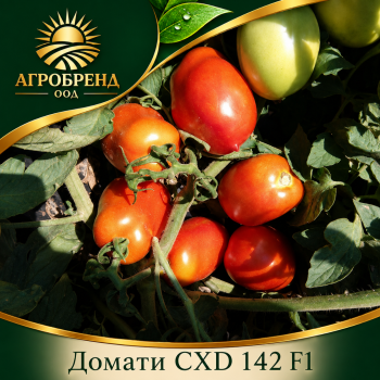 Домати CXD 142 F1