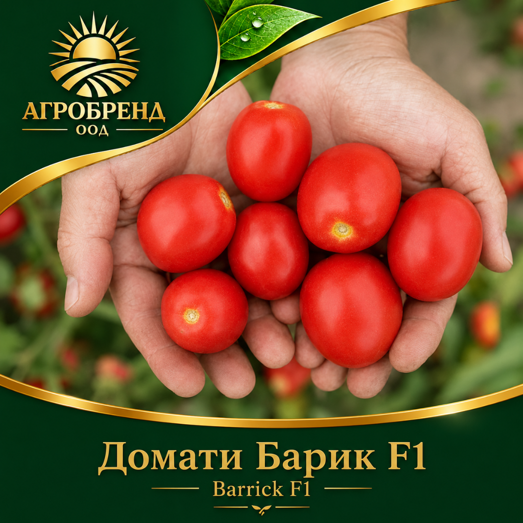 Домати Барик F1 |Barrick F1|