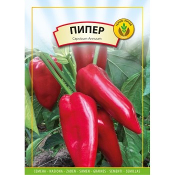 Пипер Ивайловска Капия