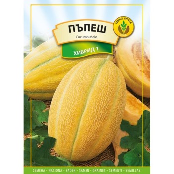 Пъпеши Хибрид 1