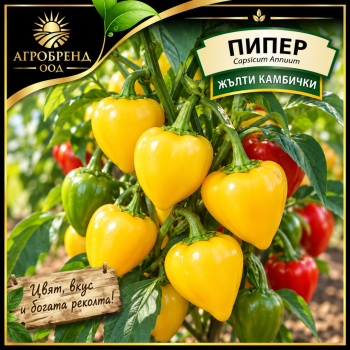 Пипер Жълти камбички