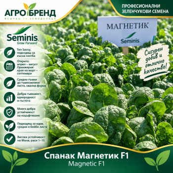 Спанак Магнетик F1 | Magnetic F1 |