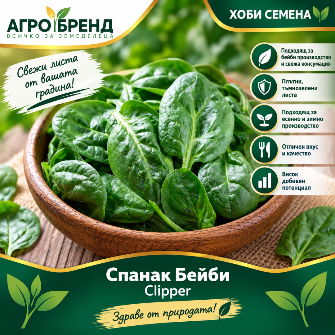 Спанак Бейби | Clipper |