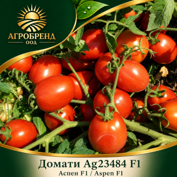 Домати Ag23484 F1| Аспен F1 | Aspen F1
