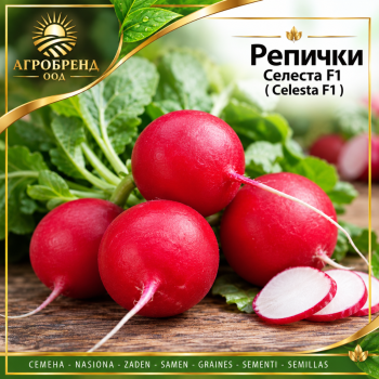 Репички Селеста F1 | Celesta F1 | ГЕ