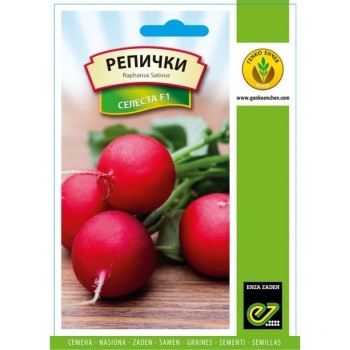 Репички Селеста F1 | Celesta F1 | ГЕ