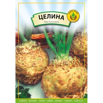 Целина главеста Прага