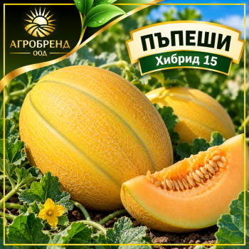 Пъпеши Хибрид 15