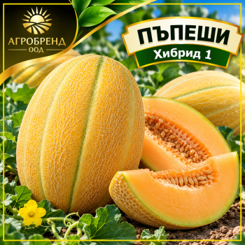 Пъпеши Хибрид 1