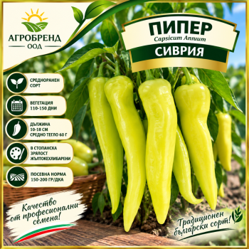 Пипер Сиврия