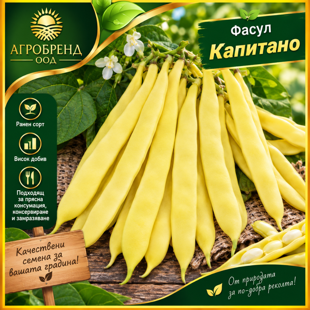 Фасул Капитано