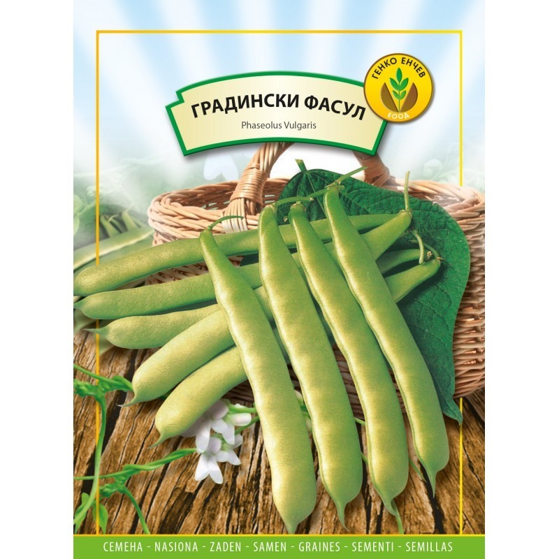 Фасул Монкайо
