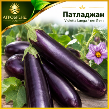 Патладжан Violetta lunga | тип Лъч |